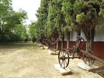 Hacienda La Vereda Guest House Montilla Eksteriør bilde